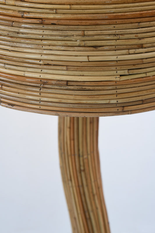 Shroom 003 Pencil Reed Floor Lamp