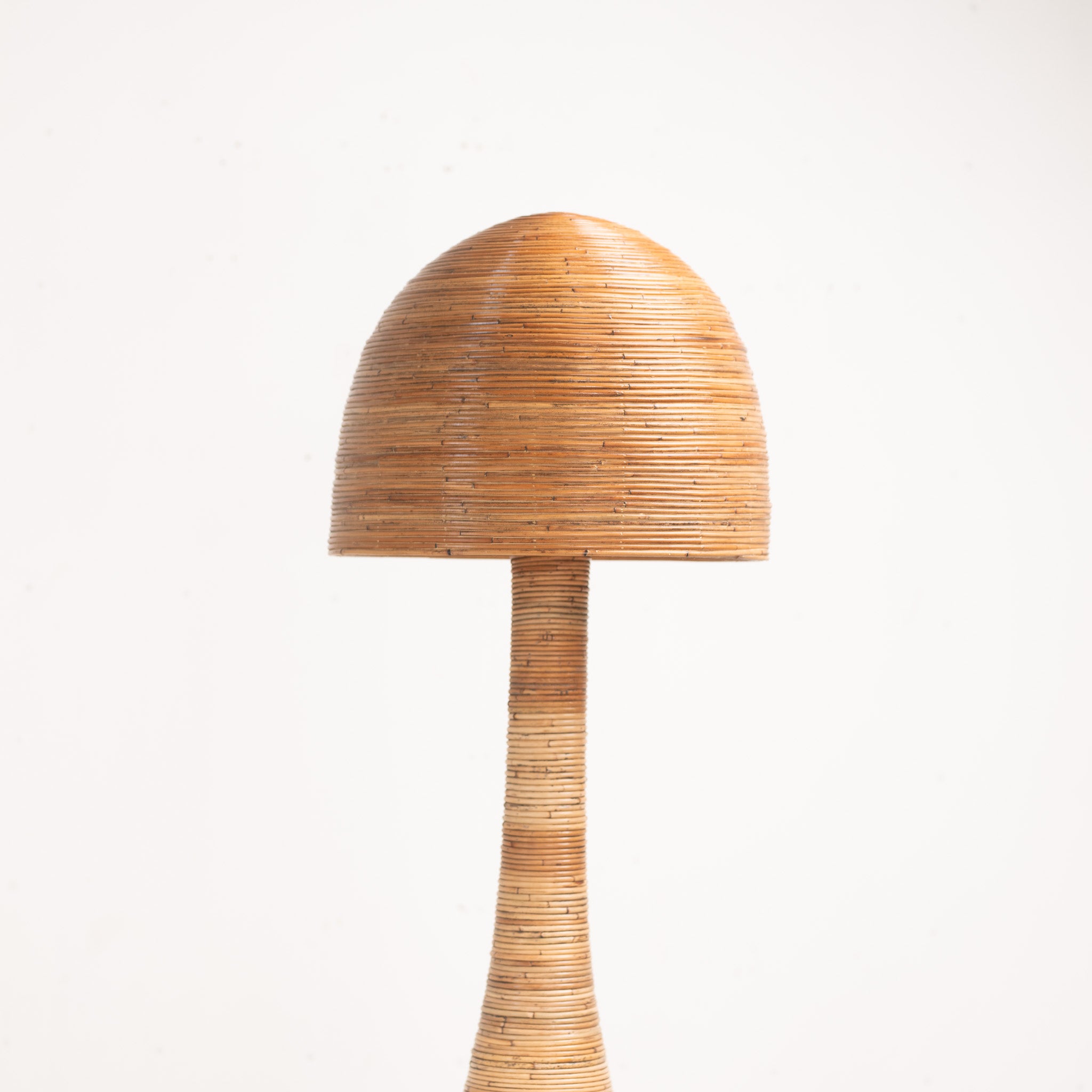 Shroom 004 Floor Lamp